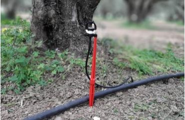 Δελτίο άρδευσης 2026 για την περίοδο: 04/06/2026 – 10/06/2026