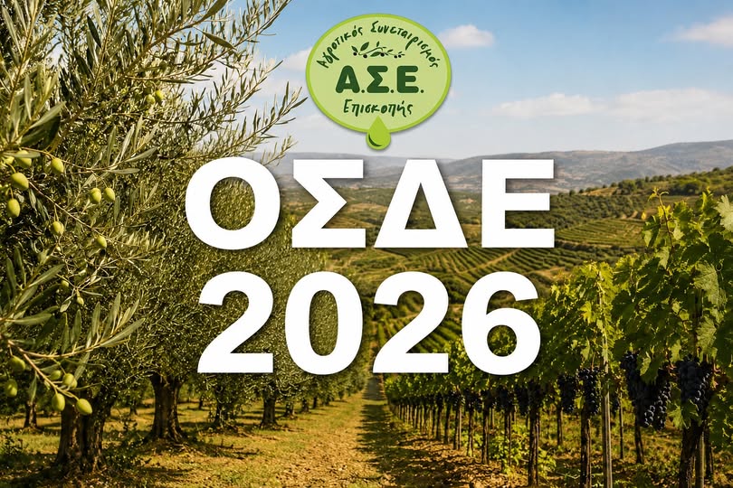 ΟΣΔΕ 2026
